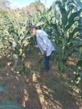 Working
