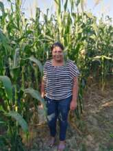 Corn Plot