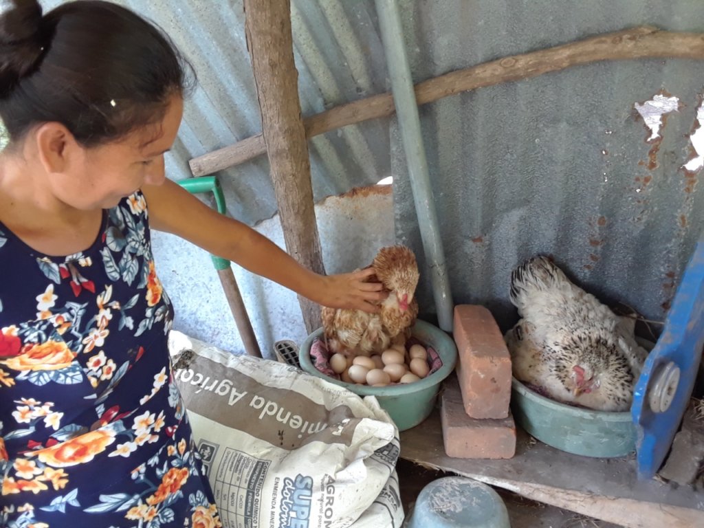 Strengthen 60 Women Farmers in El Salvador