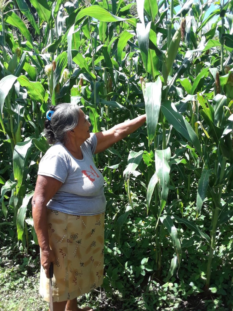 Strengthen 60 Women Farmers in El Salvador