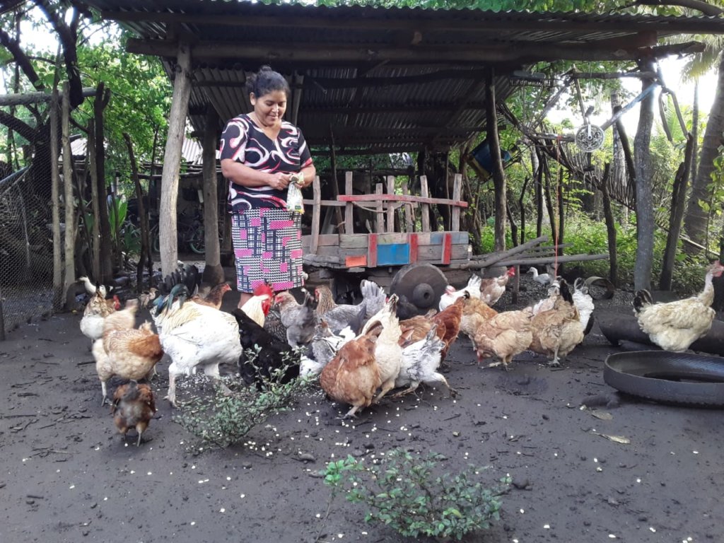 A woman feeding her chickens