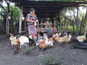 A woman feeding her chickens