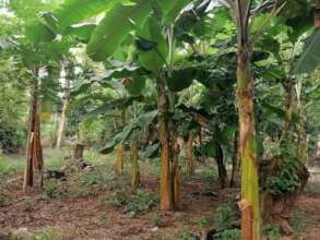 Agroecological Plot