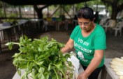 Strengthen 60 Women Farmers in El Salvador