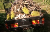 SECURING OUR SUSTAINABILITY WITH A TRUCK