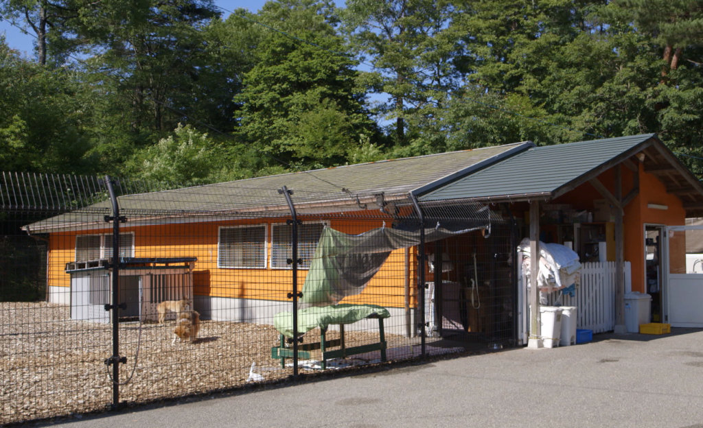 Stop The Killing of Dogs & Cats in Japan