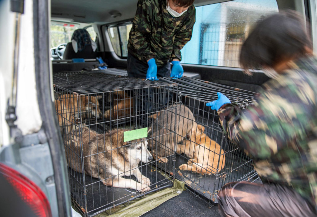 Shelter Check-in