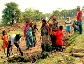 Pyne Restoration in Nalanda District, Bihar, India