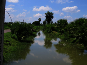 Pynes are part of a flood water control system.