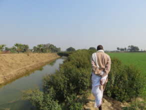 Restored pyne in rural Bihar.