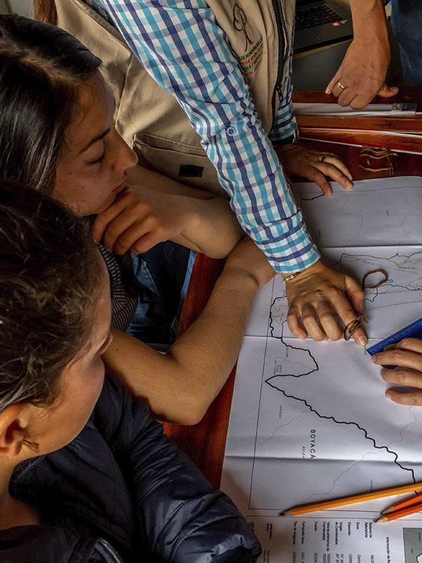 Saving the last Black Oak forests in Colombia