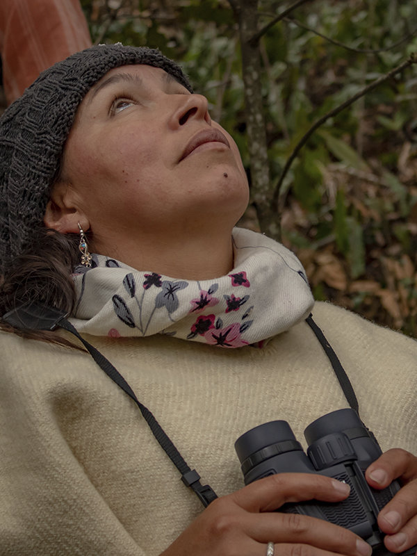Saving the last Black Oak forests in Colombia