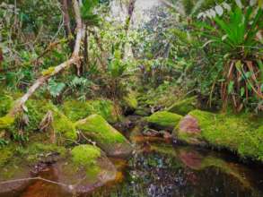 Black oak and red water rivers