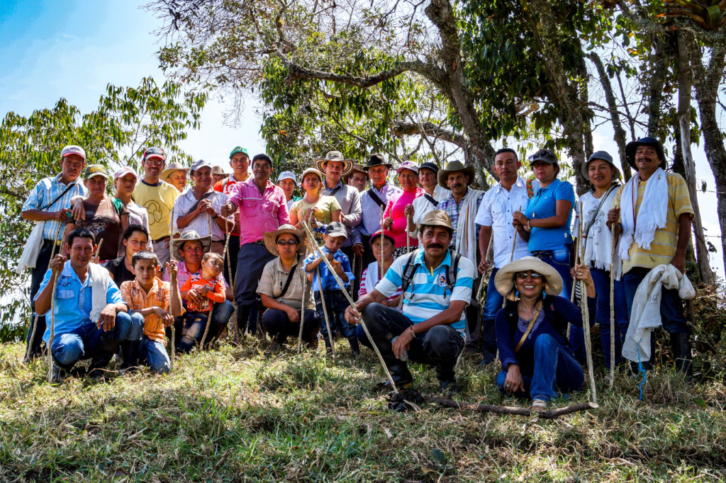 Saving the last Black Oak forests in Colombia