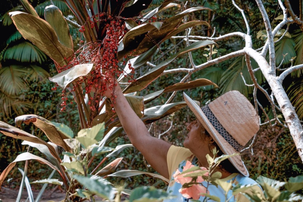 Help Amazonian Community protect their native bees