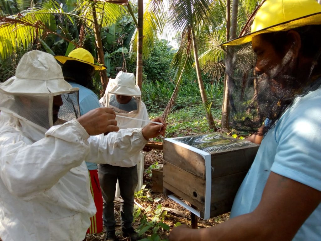 First Meli Workshop on native beekeeping