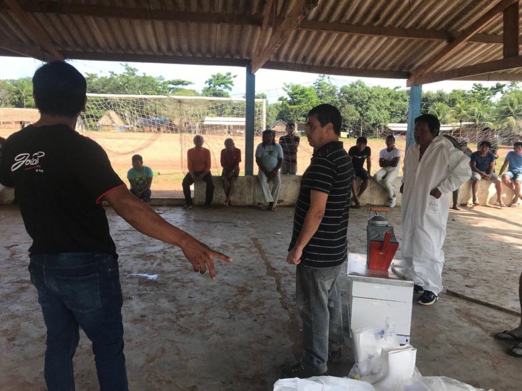 Help Amazonian Community protect their native bees