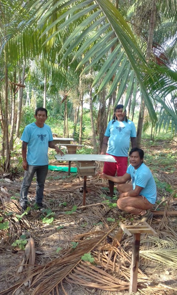 Help Amazonian Community protect their native bees