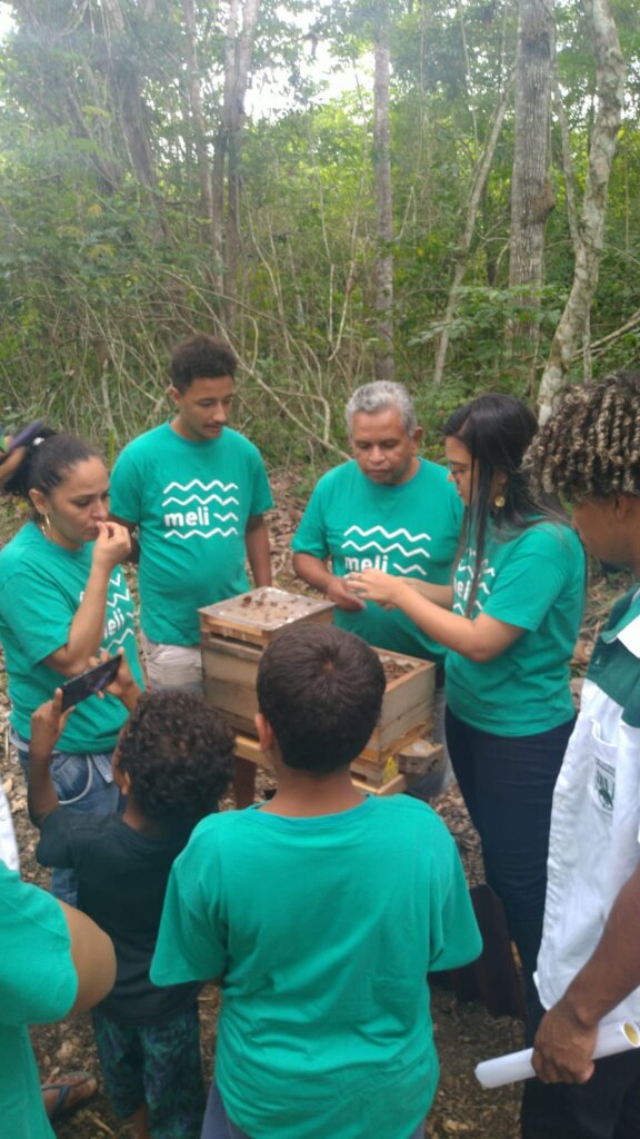 Help Amazonian Community protect their native bees