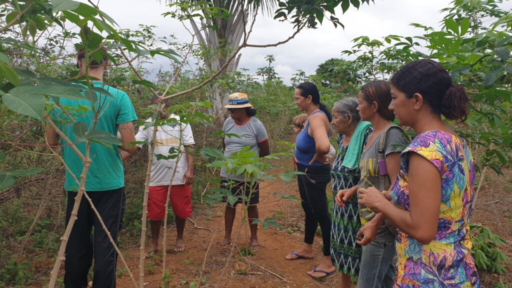 Help Amazonian Community protect their native bees