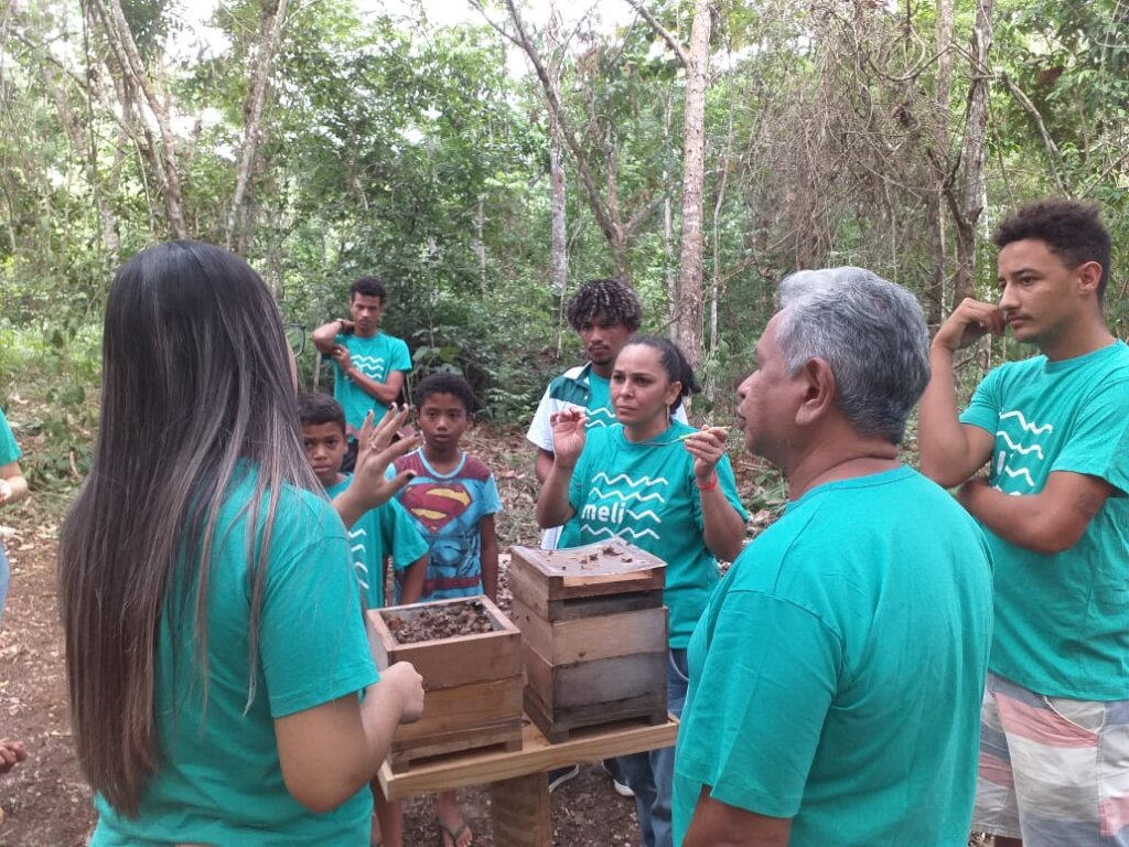 Help Amazonian Community protect their native bees
