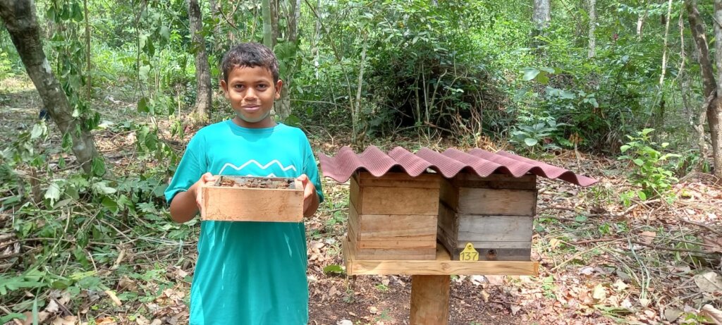 Native bee hive at IALA Amazonico