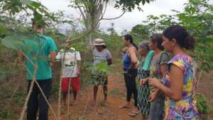Agroforestry at Frei Henri smallholder community