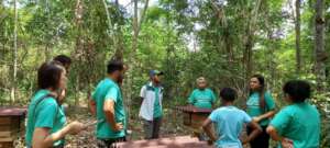 Native beekeeping establishment at IALA Amazonico