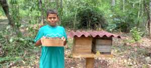 Native bee hive at IALA Amazonico