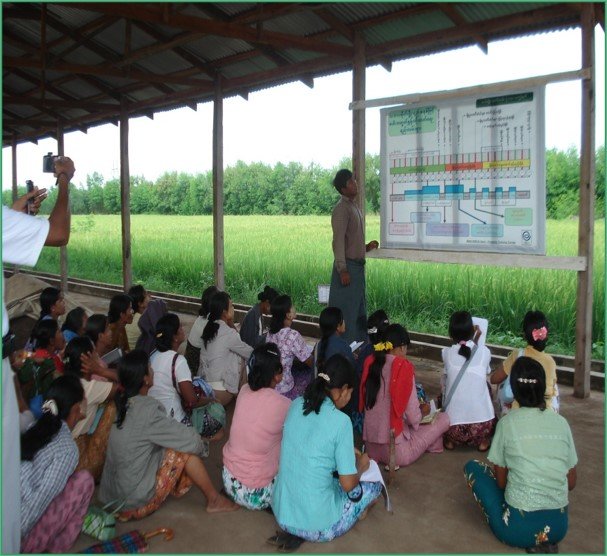 Emergency Assistance for the locals of Myanmar