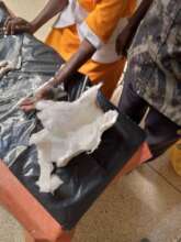 Medical examination, broken hand