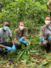 Our team during gorilla health monitoring