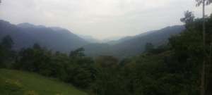 View of Bwindi Impenetrable National Park