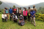 Urgent Action to curb COVID to people and gorillas