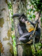 Mora and Chamaquito. Photo by Karen Urrutia.