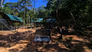 New Small Animals Area at Jacj Cuisi Sanctuary