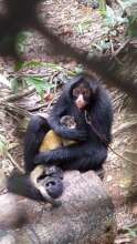 Negra and Chamaquito enjoy semi-freedom together