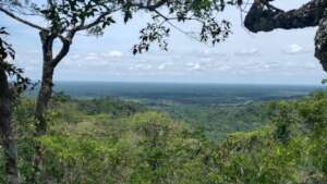 Views from the mountain in the Spider Monkey Area