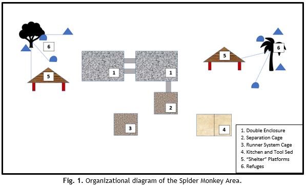 Move 167 Rescued Animals to their New Home!