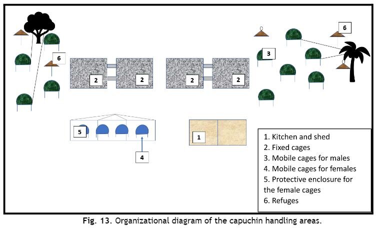 Move 167 Rescued Animals to their New Home!