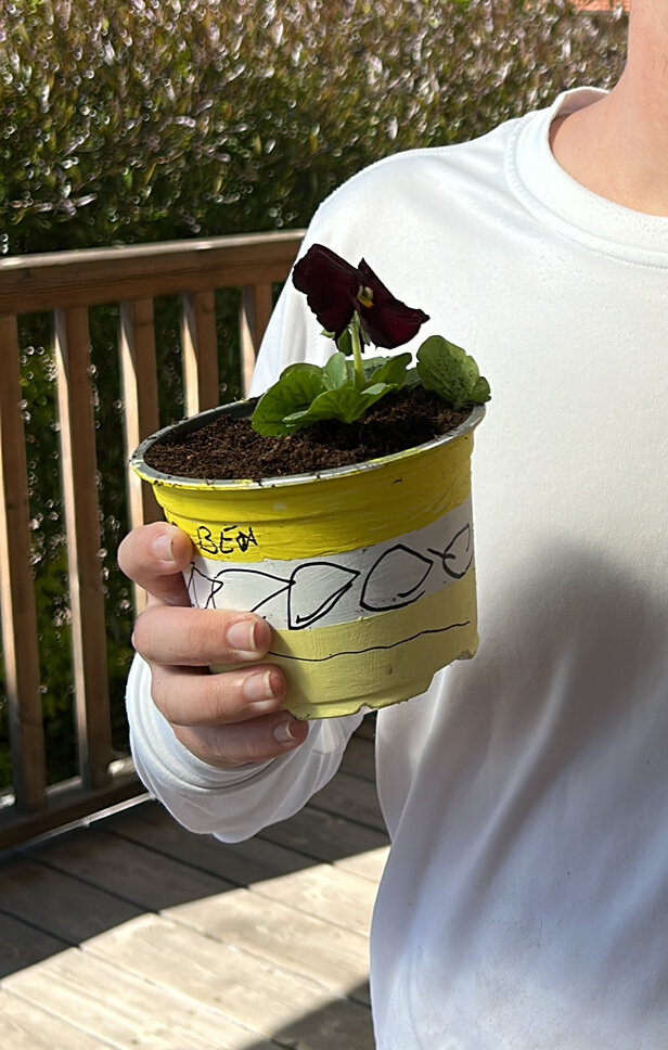Plant and decorated pot, "Harim" school family day