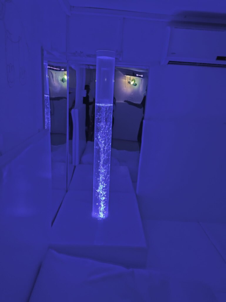 the Snoezelen Multi-Sensory room