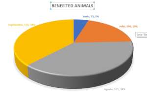 Food Bank Statistics