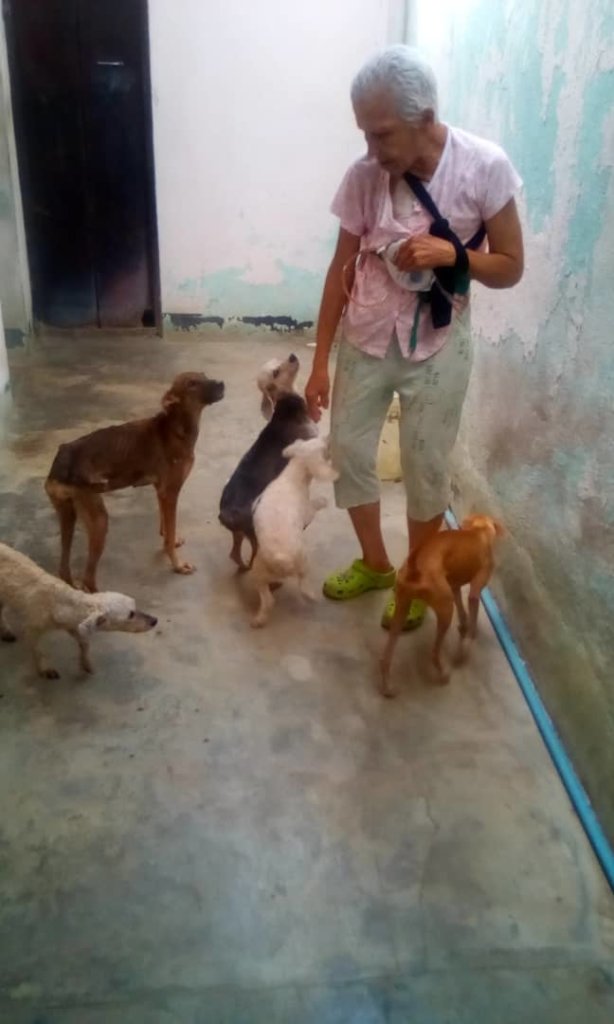 Improve 3K community dog&cat feeding in Venezuela