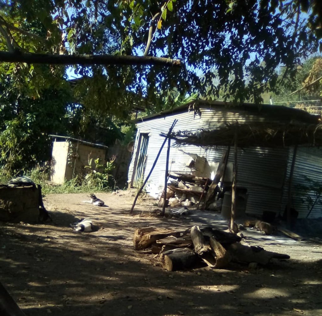 Improve 3K community dog&cat feeding in Venezuela