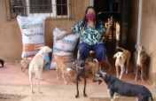 Improve 3K community dog&cat feeding in Venezuela