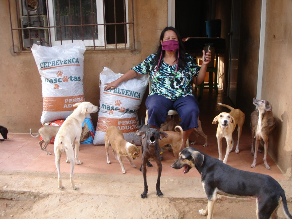 Improve 3K community dog&cat feeding in Venezuela