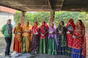 Winter seed distribution in the community