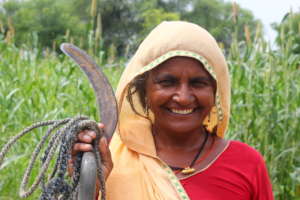 Help 2000 tribal families fight hunger, Rajasthan