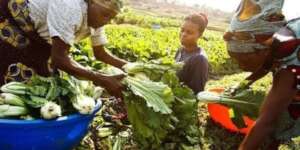 FIGHT HUNGER & FOOD INSECURITY IN S/EAST, NIGERIA